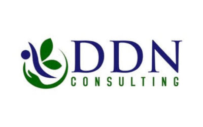 DDN-Consulting