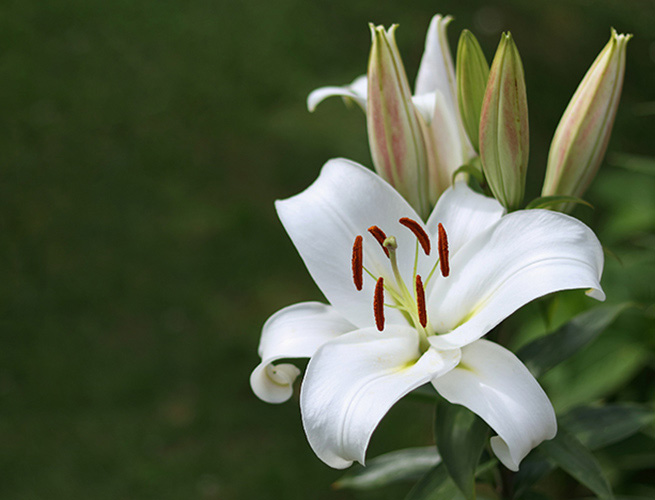 In Anxious Times, Easter Provides Hope
